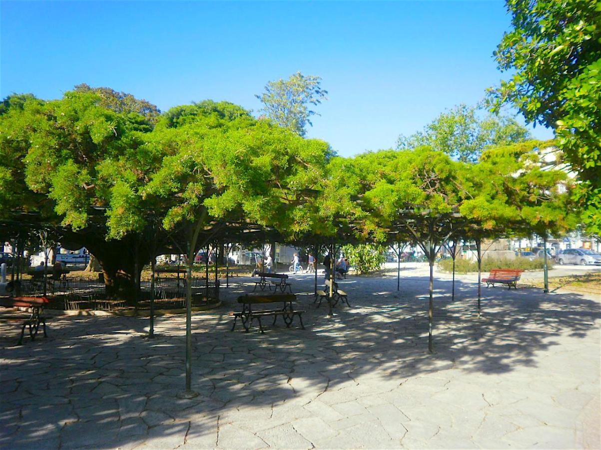 Principe Real, Hidden Terrace, Lisbon Views By Courtesy Morning Apartment Exterior foto